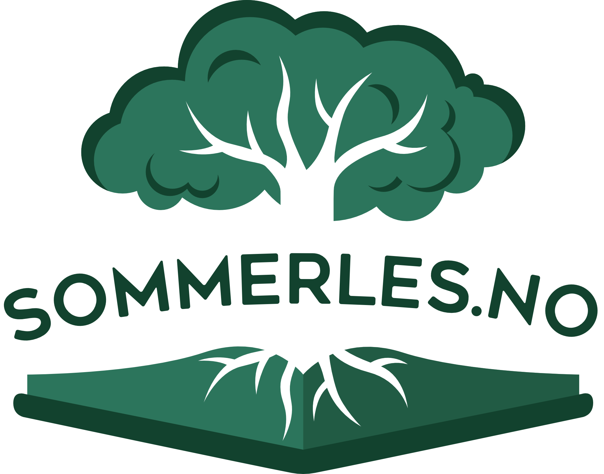 Les mer og meld deg på Sommerles her.
